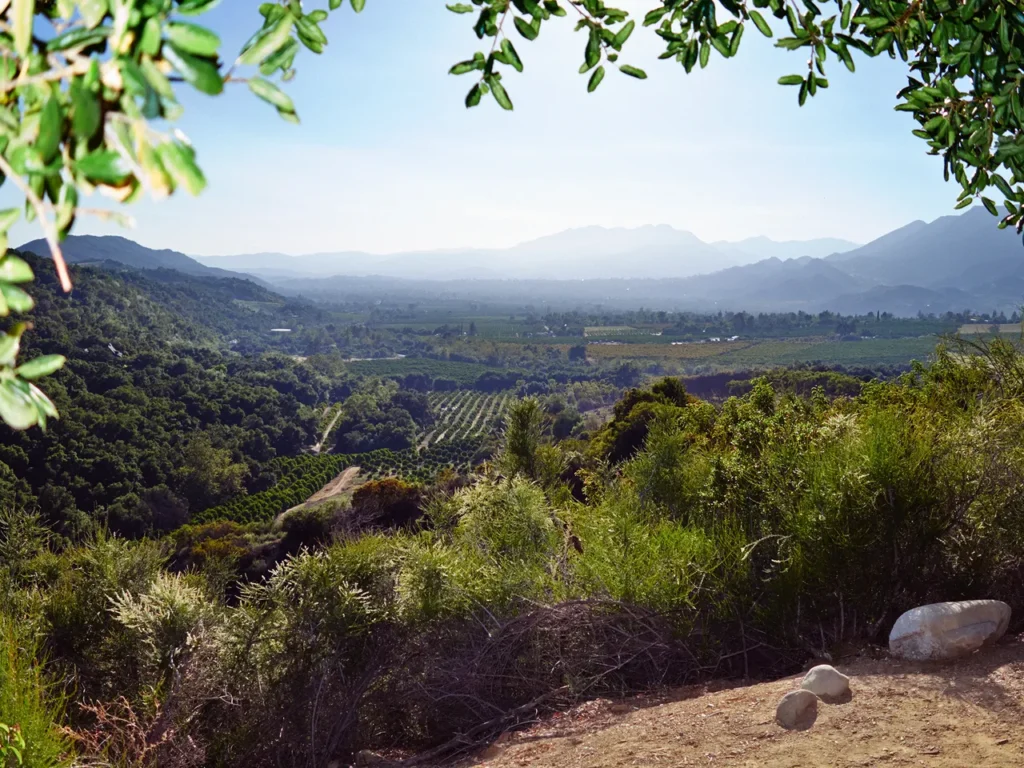 Healing Hot Springs of Ojai